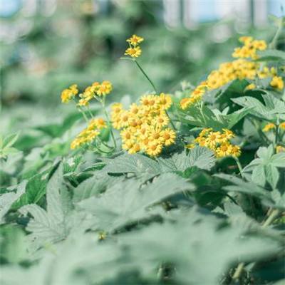 刀剑封魔录5年版下载